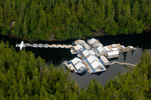 Rivers Inlet Accommodations